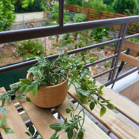 Casa Di Andreo Lägenhet Faraí